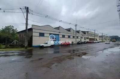 Barracão / galpão / depósito para alugar na da liberdade, 210, boa vista, portão por r$ 12.000