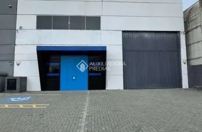 Barracão / galpão / depósito para alugar na rua antônio dias de oliveira, 145, nova esperança, balneário camboriú, 260 m2 por r$ 15.000