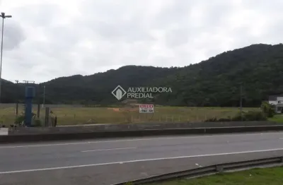 Terreno comercial para alugar na rodovia br-101, 126, estados, balneário camboriú, 40 m2 por r$ 150.000