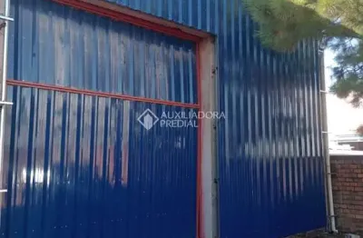 Barracão / galpão / depósito para alugar na avenida são paulo, 532, neópolis, gravataí, 280 m2 por r$ 4.500