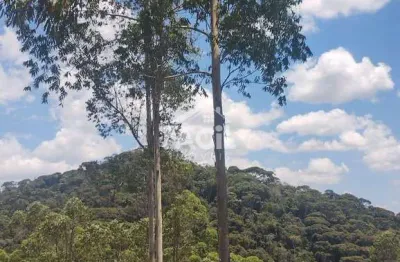 Sítio à venda em melgacinho – domingos martins/es por r$ 1.350.000,00