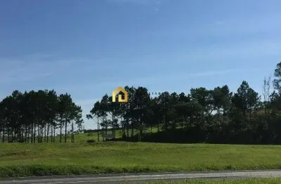Área comercial à venda na rodovia castelo branco!!!