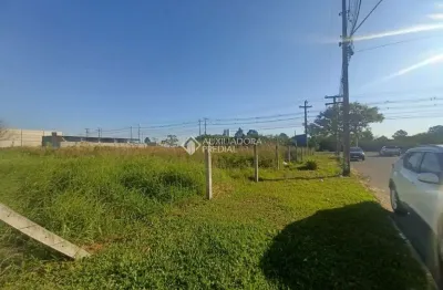 Terreno comercial para alugar na avenida açucena, 1, estância velha, canoas, 908 m2 por r$ 3.000