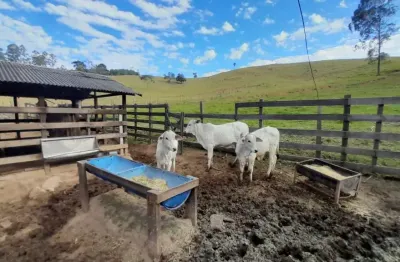 Chácara / sítio com 3 quartos à venda na Pinhalzinho Sp., REF.34, Areal, Pinhalzinho