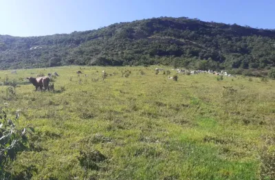 Chácara / sítio com 3 quartos à venda na Área Rural, 0000, Centro, Pouso Alegre