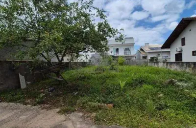 Terreno plano com 240 m² no bairro limoeiro no loteamento jardim azaléia