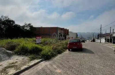 Terreno à venda no Volta Grande, Brusque 