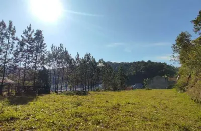 Terreno comercial para alugar no Primeiro de Maio, Brusque 