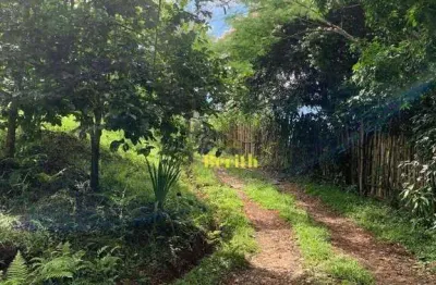 Chácara à venda, 3000 m² por r$ 250.000,00 - taboão - taubaté/sp