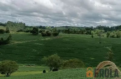 Chácara / sítio à venda na Poema, Zona Rural, Nova Tebas
