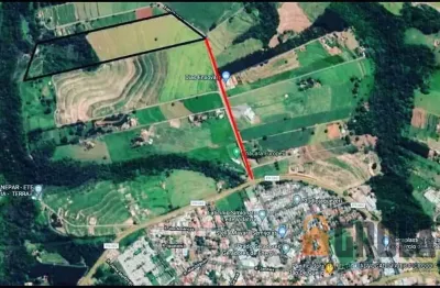 Chácara / sítio à venda na Estrada Rural Ourupu - Pr 082, Zona Rural, Terra Boa