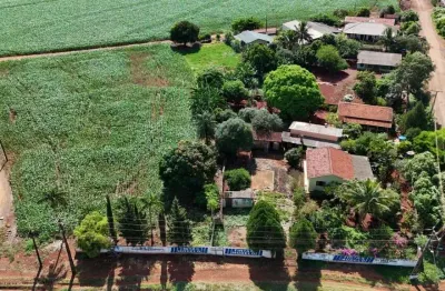 Chácara / sítio à venda na Rod. Avelino Piacentini - Pr 317, Sertãozinho, Engenheiro Beltrão