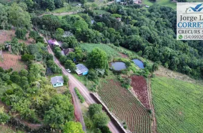 Chácara / sítio com 4 quartos à venda na Rodovia BR 116, Recanto das Flores, Morro Reuter
