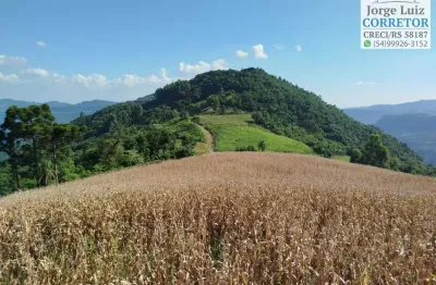 Área com vista pra venda em picada café, serra gaúcha.