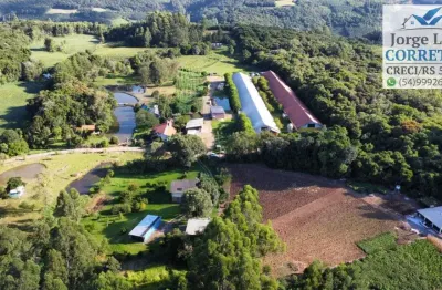 Excelente sítio produtivo pra venda em nova petrópolis serra gaúcha.