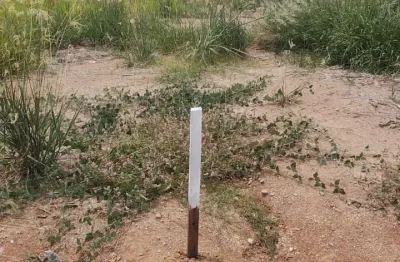 Chácara / sítio à venda na Rod. Hermínio Petrin/paraisolandia, 000, Córrego da Onça, Charqueada