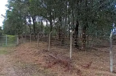 Chácara / sítio com 1 quarto à venda na Zona Rural, Campo Largo 