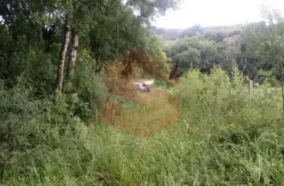 Chácara / sítio com 1 quarto à venda na Zona Rural, Campo Largo 