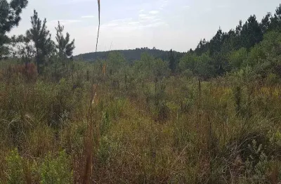Área rural 10,20 alqueires - 3 barras de cima - bateias!