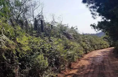 Chácara / sítio à venda na Rua Cassimiro Karman, s/n, Bateias, Campo Largo