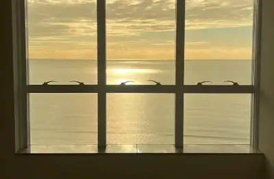 Apartamento com 3 quartos à venda na Rua 206, 35, Meia Praia, Itapema