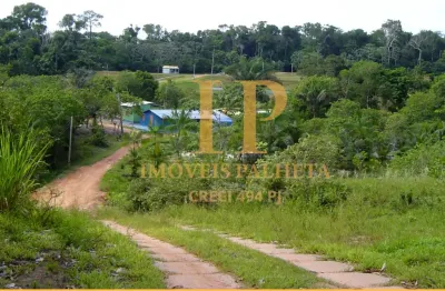 Vende-se sítio-fazenda com 90 hectares, vila lindoia, na estrada de itacoatiara