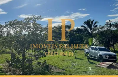 Vende-se sítio, propriedade com 12.500m², no rio preto da eva, amazonas.