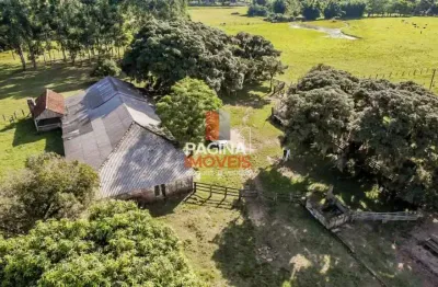Página 1 imóveis anuncia para venda excelente 'fazenda' com 80 hectares no bairro lomba grande em novo hamburgo–rs. - fa412