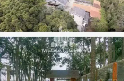 Chácara / sítio com 5 quartos à venda na Rua das Hortências, 418, Ferraria, Campo Largo