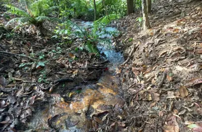Terreno à venda na módulo, s/n, 100, pedra azul, domingos martins por r$ 2.190.000