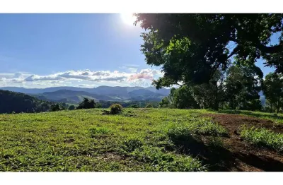 Sítio produtivo à venda – 7,5 alqueires de terra fértil com infraestrutura completa!