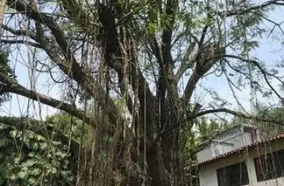 Terreno à venda na vila andrade, são paulo-sp: 760m² de oportunidade imperdível!