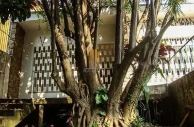 Casa térrea de 365m² com edícula na av. santo amaro. casa térrea de 365m² com edícula na av. santo a