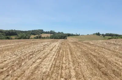 Terreno à venda na Rondinha, Campo Largo 