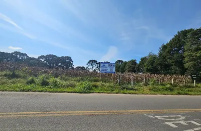 'viva em harmonia com a natureza: área urbana rodeado com muito verde!'.