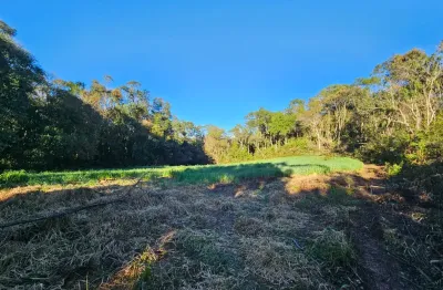 A natureza lhe espera para viver com qualidade de vida para voc~e e sua família , venha conhecer esta excelente oportunidade