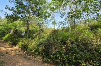 Unidade 04 disponíveis, 100% documentada matricula individual, rodeado de muita área verde, autorização do iap para corte de árvores,  terreno com frente para br. e unidades internas, energia elétrica