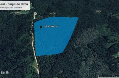 Invista na natureza com qualidade de vida e  saúde, ou plantio de eucalipto