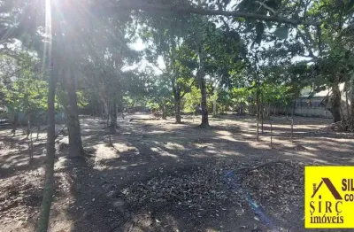 Bosque fundo-inoã- 4 lotes 450 m² cada *r$ 95mil unidade!