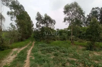 Chácara / sítio à venda na Zona Rural, Engenheiro Coelho 