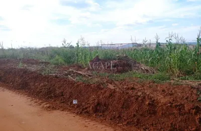 Chácara à venda em artur nogueira, recanto primavera, com 1000 m²