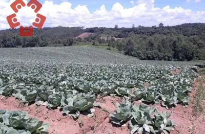 Terreno à venda, 700 m² por r$ 220.000,00 - vila verde - ibiúna/sp