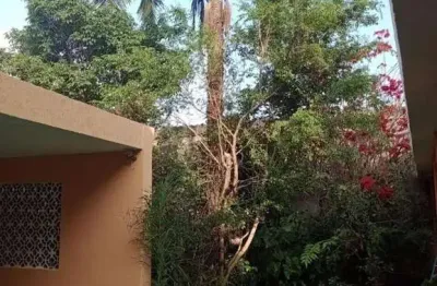 Casa com 2 dormitórios à venda,  jardim d abril - osasco/sp