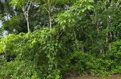 Terreno à venda na estrada de aldeia, aldeia dos camarás, paudalho, 2240 m2 por r$ 280.000