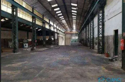 Galpão, 1747 m² - venda por r$ 8.840.400,00 ou aluguel por r$ 49.028,00/mês - tatuapé - são paulo/sp