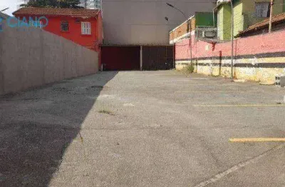 Terreno para alugar, 306 m² por r$ 8.670,00/mês - vila prudente - são paulo/sp