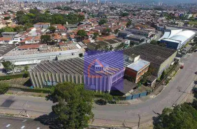 Galpão 7800 m² ao lado do terminal de cargas da fernão dias - venda por r$ 30.000.000 ou aluguel por r$ 105.000/mês - parque edu chaves - são paulo/sp