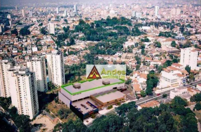 Terreno localização privilegiada 9976 m² - venda por r$ 34.916.000 ou aluguel por r$ 169.055/mês - barro branco (zona norte) - são paulo/sp