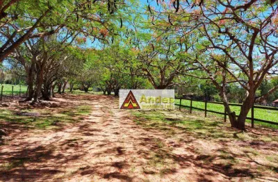 Sítio com 6 dormitórios à venda, 84600 m² por r$ 1.100.000,00 - sitio roma - boa esperança do sul/sp