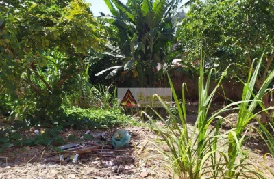Terreno à venda na Rua Marcelino José de Freitas, Vila Teresinha, São Paulo